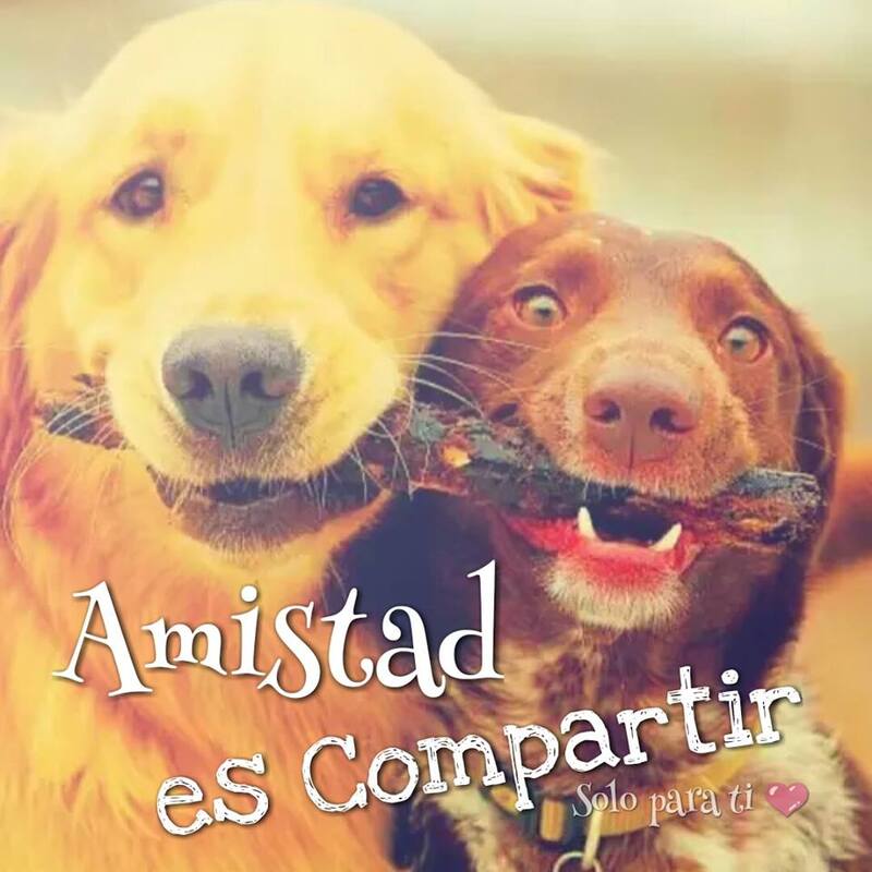 Amistad es compartir