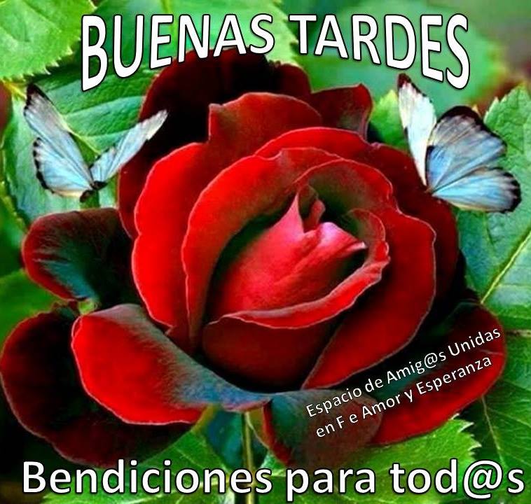 Buenas Tardes, Bendiciones para todos