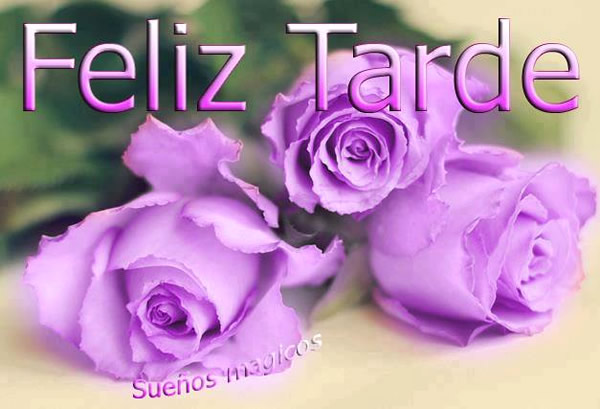 Feliz Tarde