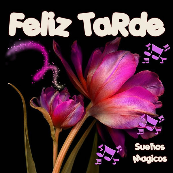 Feliz Tarde