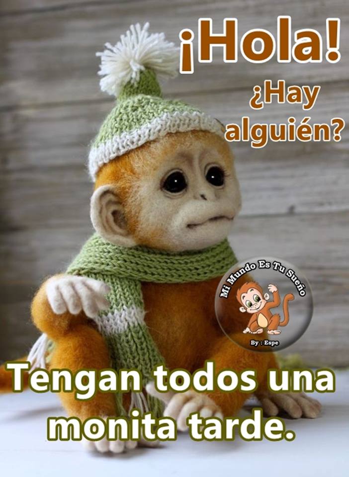 Hola! Hay alguien? Tengan todos una monita tarde.