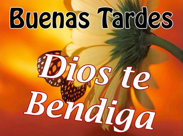 Buenas Tardes Dios te bendiga