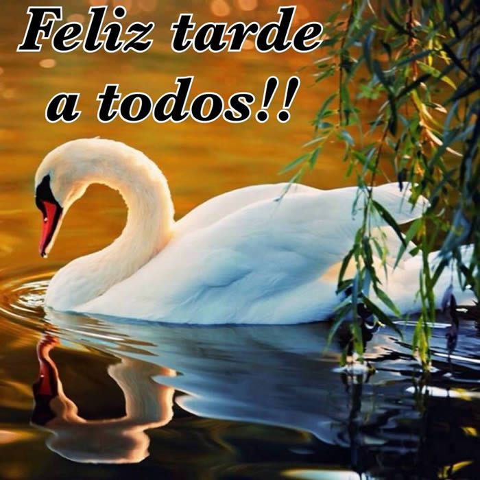 Feliz Tarde a todos!