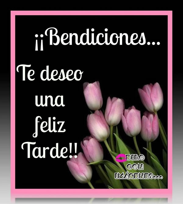 Bendiciones! Te deseo una Feliz Tarde!!