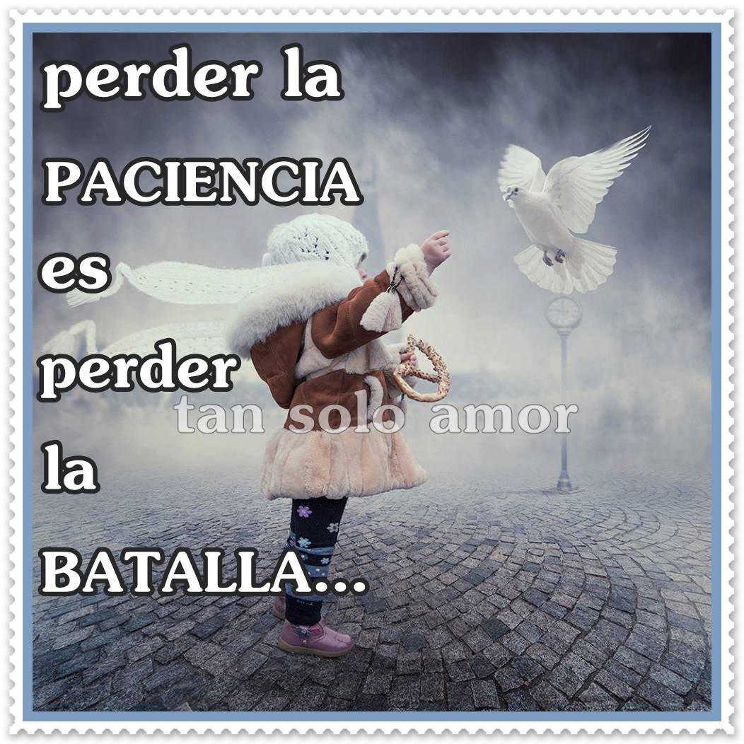 Perder la PACIENCIA es perder la BATALLA...