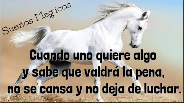 Cuando uno quiere algo y sabe que valdrá la pena, no se cansa y no deja de luchar.