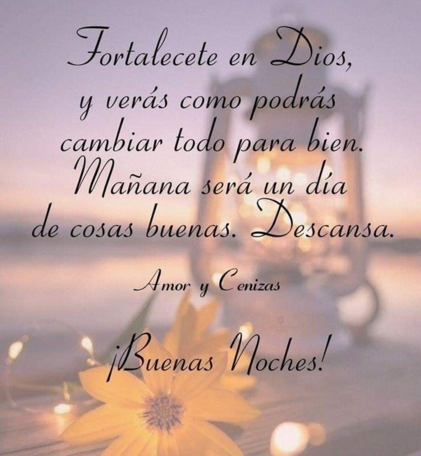 Imgygenes De Buenas Noches Feliz Descanso 16 - hdoh9ou