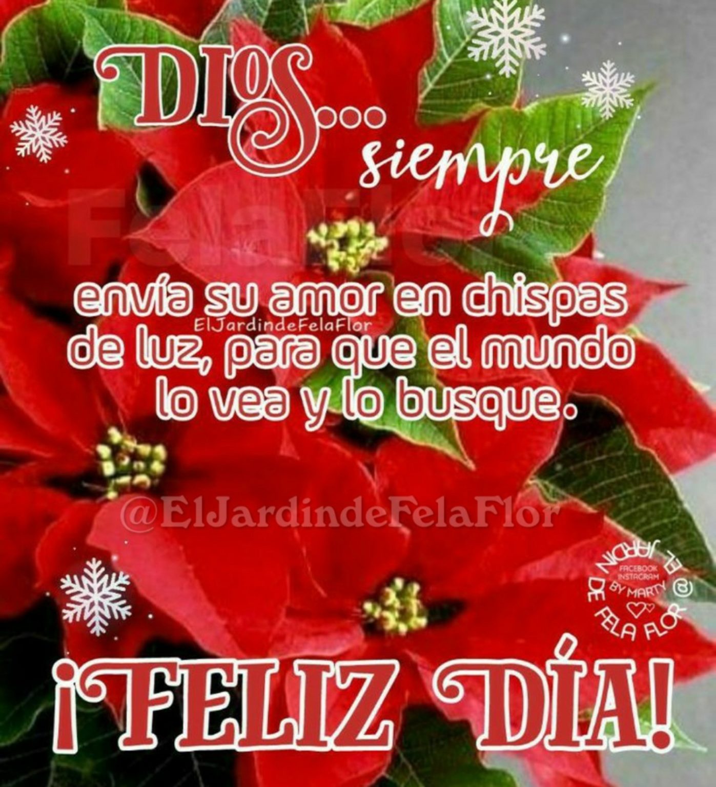 25 Imagenes bonitas de Buenos Días Navidad - HermosasImagenes.net