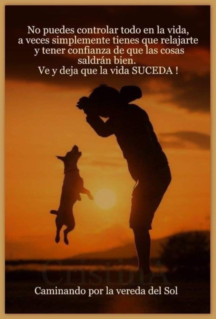 No puedes controlar todo en la vida, a veces simplemente tienes que relajarte y tener confianza de que las cosas saldrán bien. Ve y deja que la vida suceda!