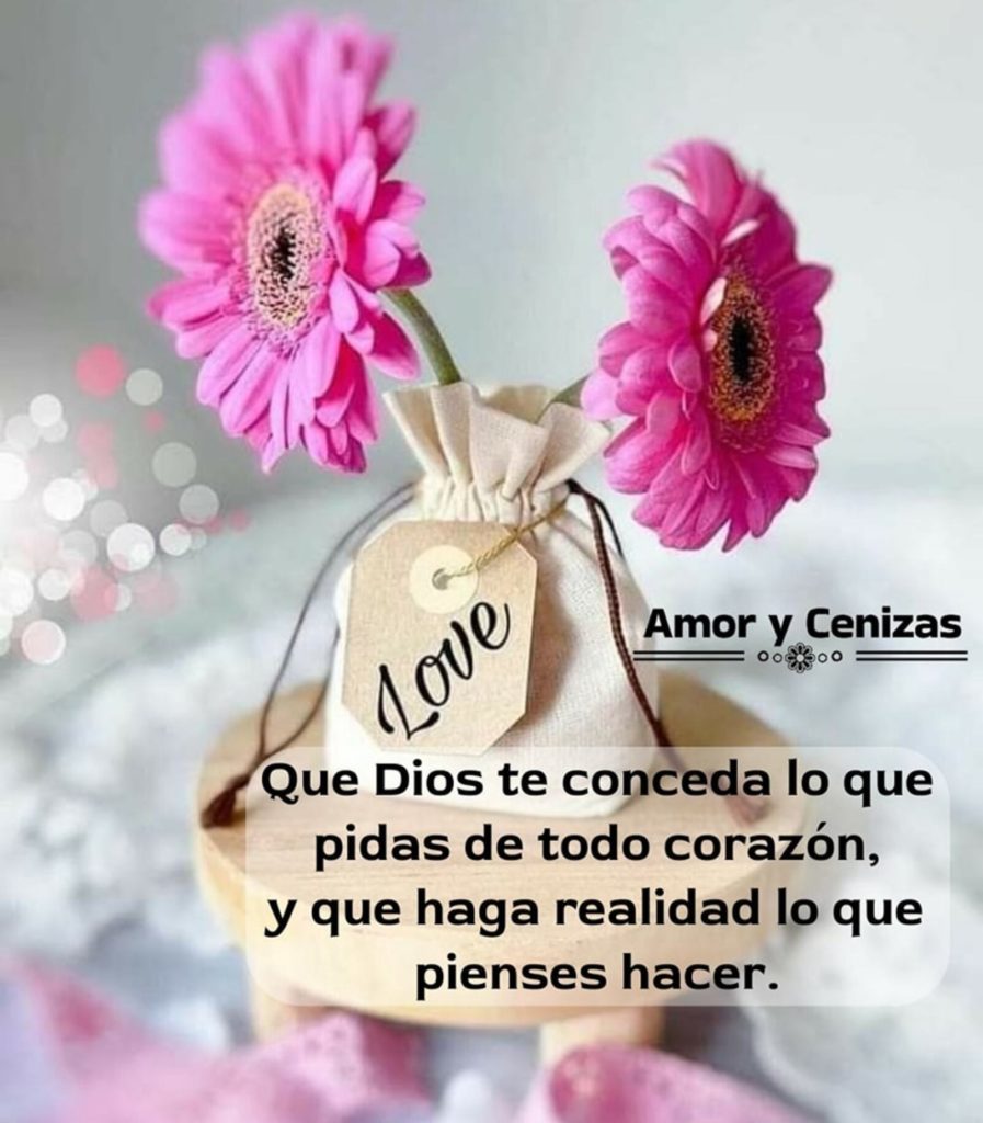 frases bonitas